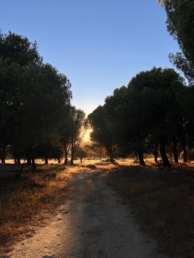 Posada Rural La Resinera La Adrada Eksteriør billede