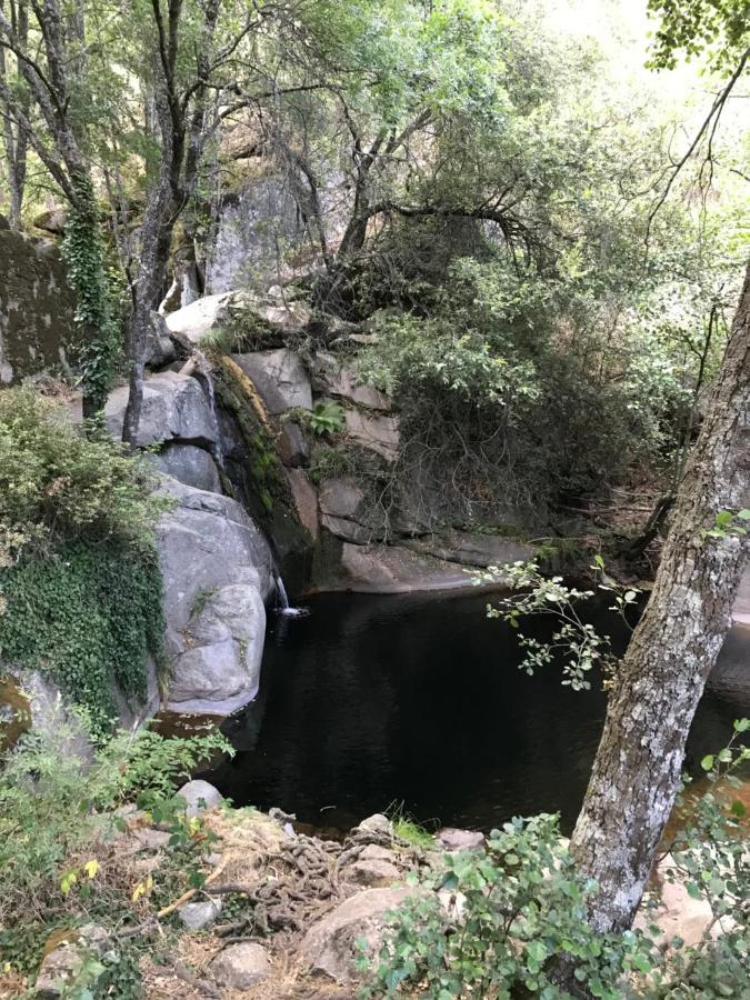Posada Rural La Resinera La Adrada Eksteriør billede