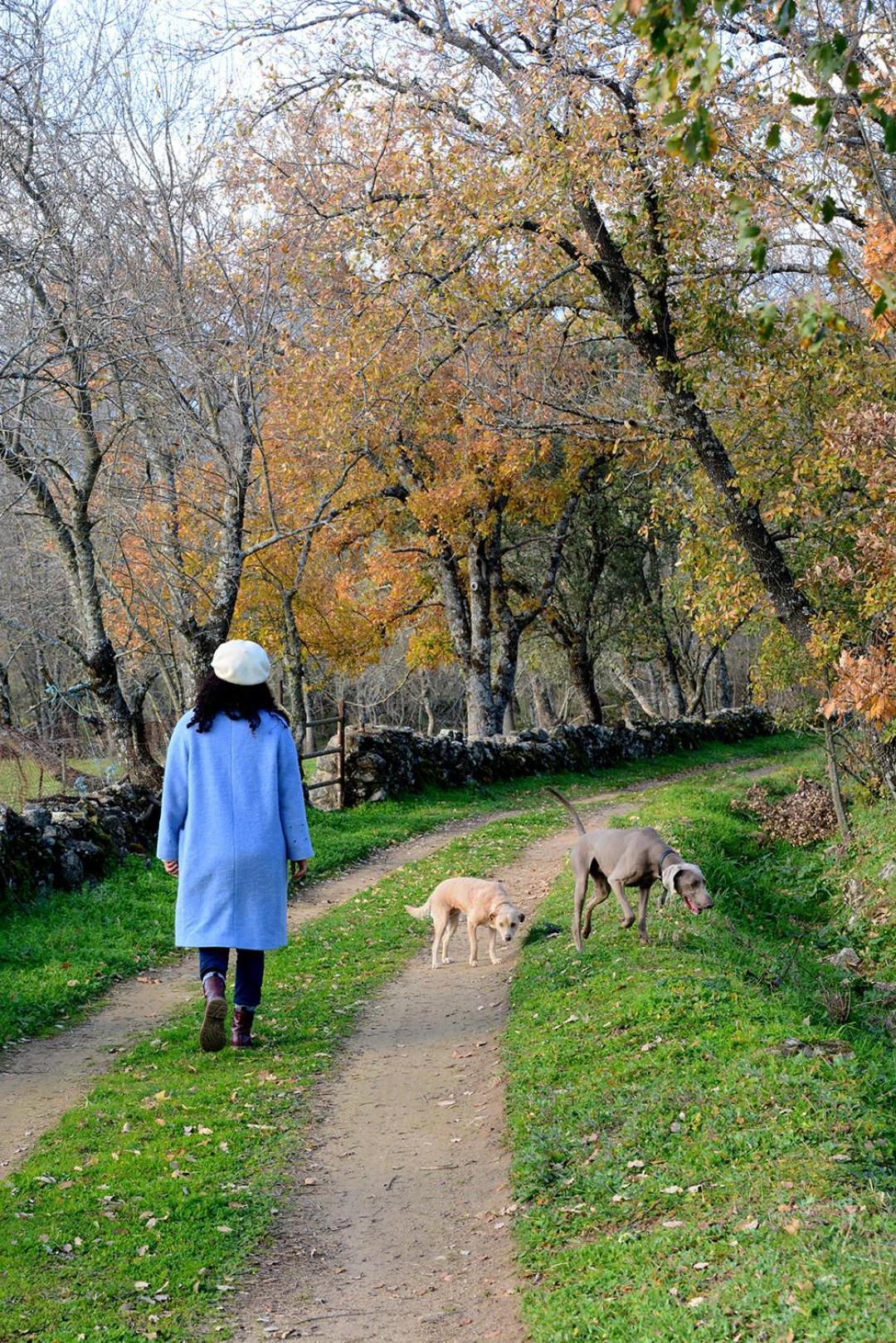 Posada Rural La Resinera La Adrada Eksteriør billede