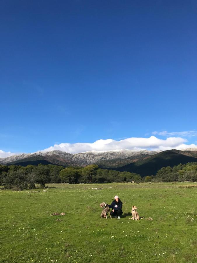 Posada Rural La Resinera La Adrada Eksteriør billede